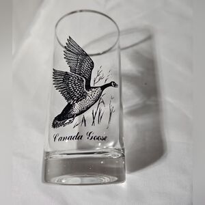 Vintage Federal Glass Canada Goose Highball Silver Rimmed Sportsman Series